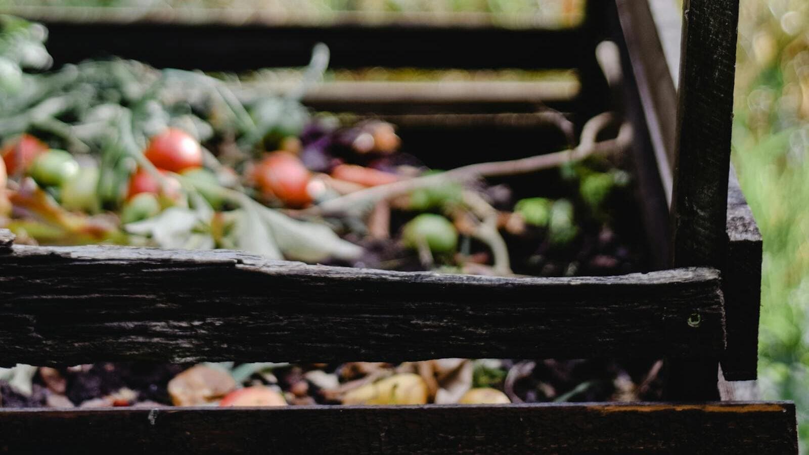 Les bonnes pratiques de compostage en 2026 : la science cachée derrière chaque seau de biodéchets — article Phytopolis sur l'arboricompostage